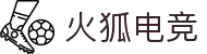 火狐电竞 (有限公司)官方网站