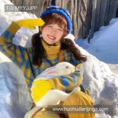 舒舜飚